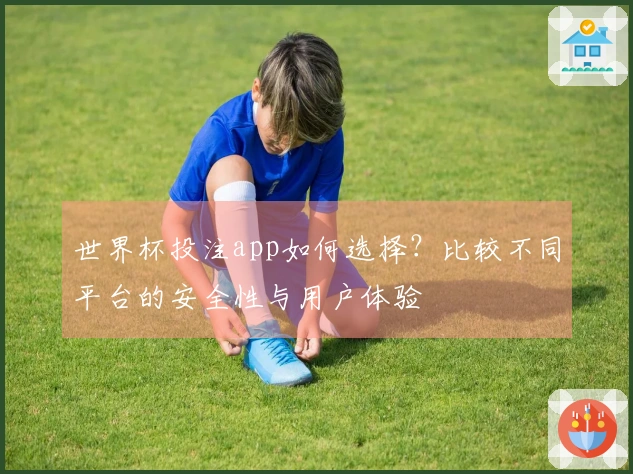 世界杯投注app如何选择？比较不同平台的安全性与用户体验