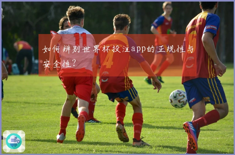 如何辨别世界杯投注app的正规性与安全性？