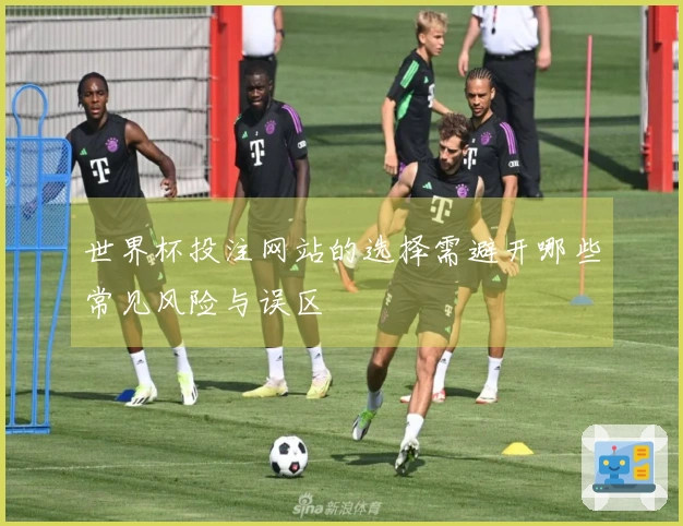 世界杯投注网站的选择需避开哪些常见风险与误区